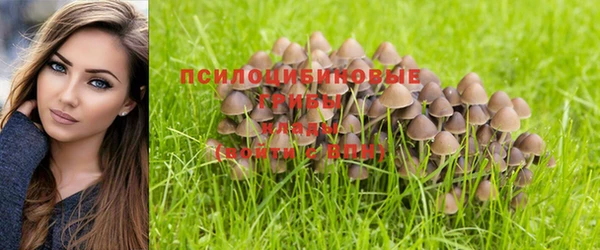 mdpv Остров
