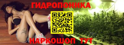 тгк Пушкино