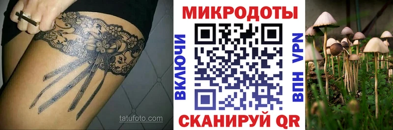 где найти Улан-Удэ Псилоцибиновые грибы прущие грибы