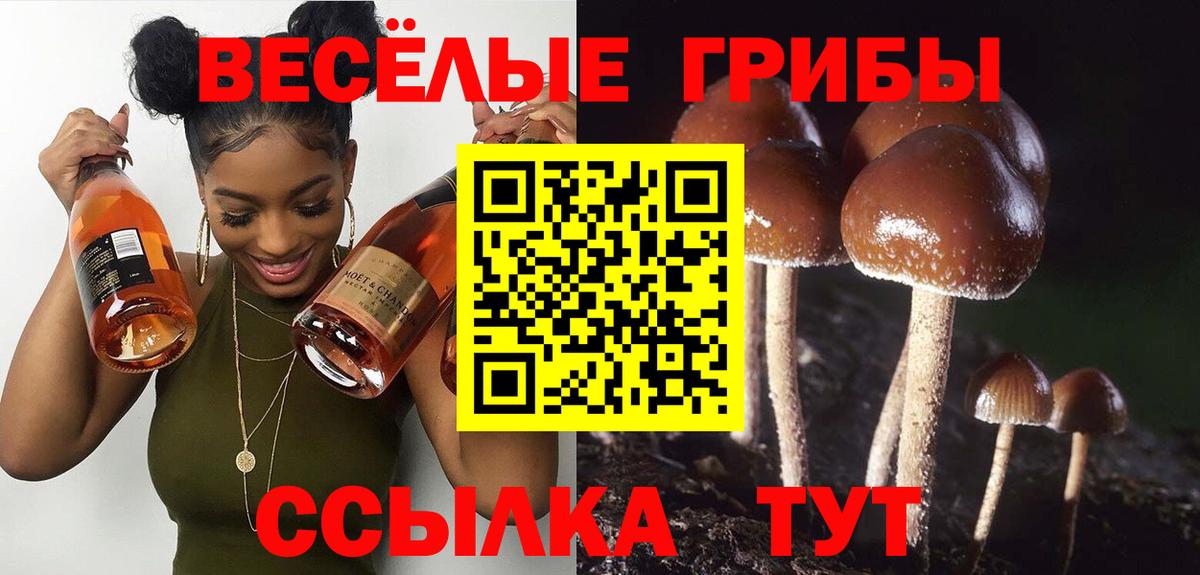 Улан-Удэ  Галлюциногенные грибы MAGIC MUSHROOMS  Вход с VPN 